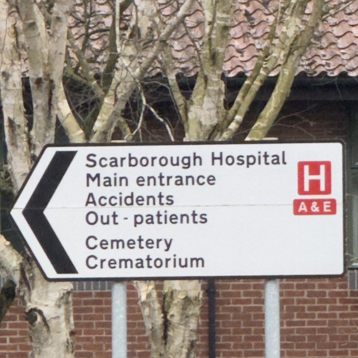 carolward5064's tweet photo. @Grampa1950 #sundaysigns https://t.co/GVIHO0l9Qd