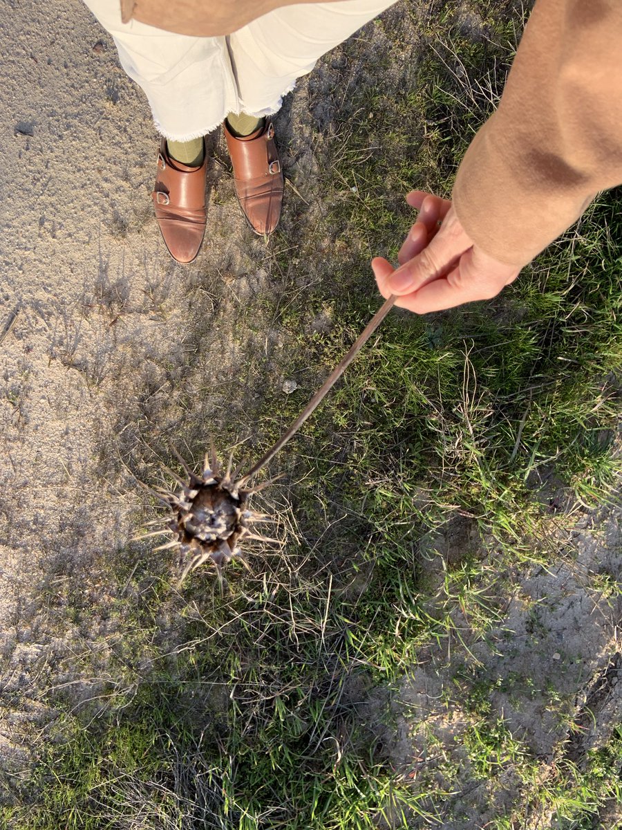 Teresushi tweet media