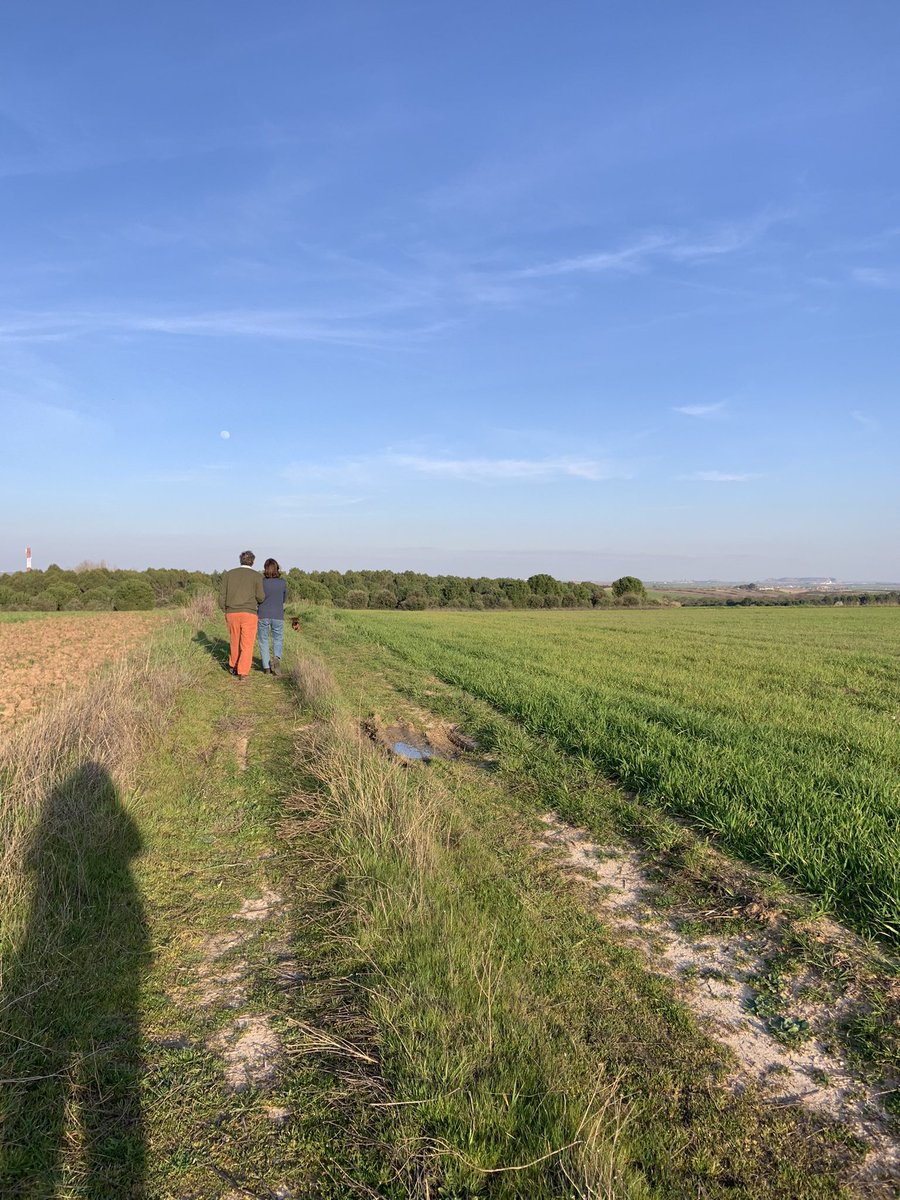 Teresushi tweet media