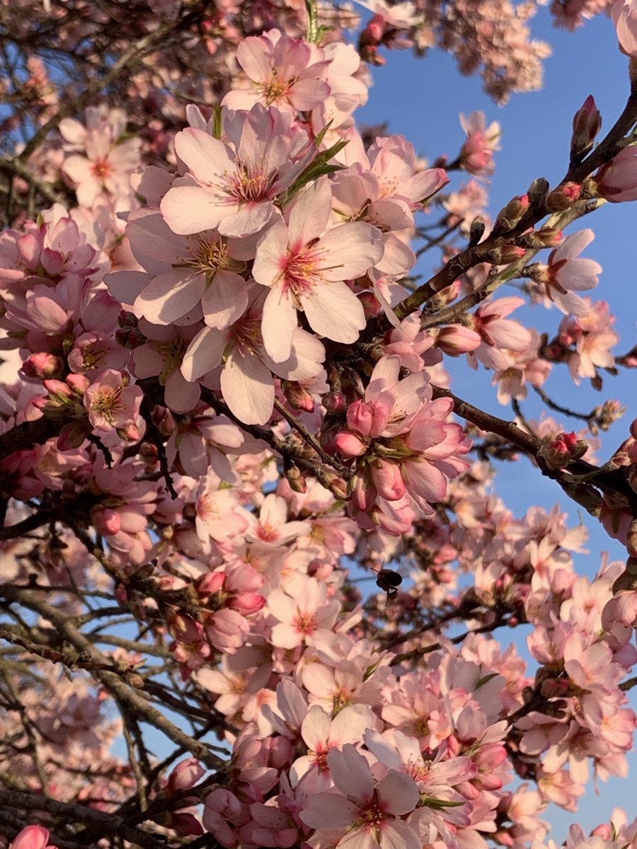 Teresushi tweet media