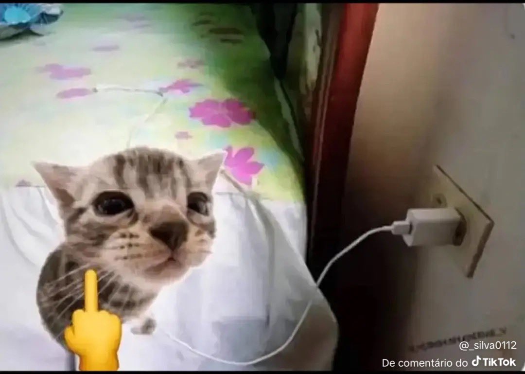 𝕿𝖎𝖆𝖌𝖚 (@fkntiagu) on Twitter photo 