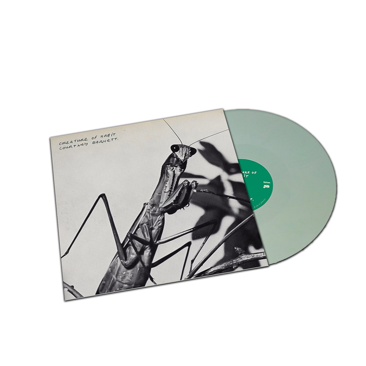 Magnolia Record Club tweet media