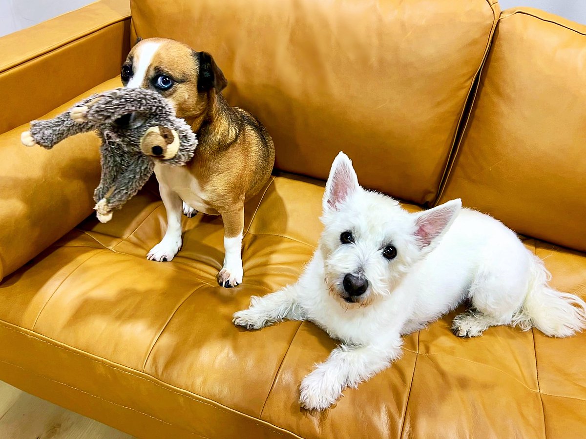 Rick Hammerly tweet media