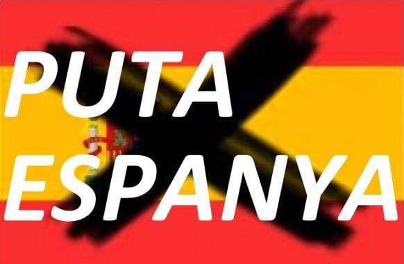 Sóc pas mestre jo! tweet media