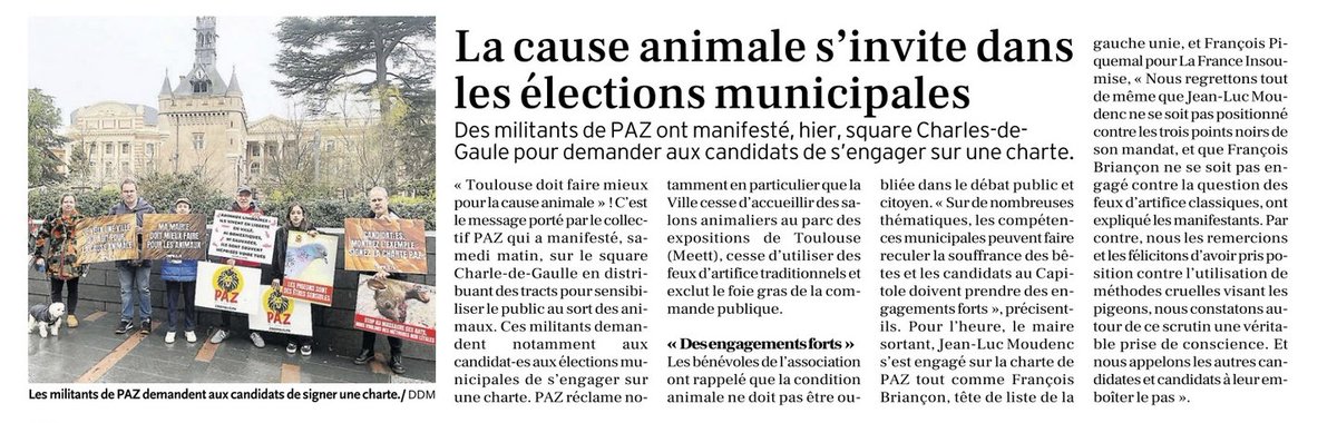 AmandineSanvi's tweet photo. L'action de @paz_zoopolis dans La Dépêche du jour 📰
💬"Ma mairie doit faire mieux pour les animaux."
#Toulouse #Municipales2026 🗳️
#foiegras #salonsanimaliers #feuxdartifice
@jlmoudenc @fbriancon @RegisGodec @FraPiquemal https://t.co/WkZPPycUO2