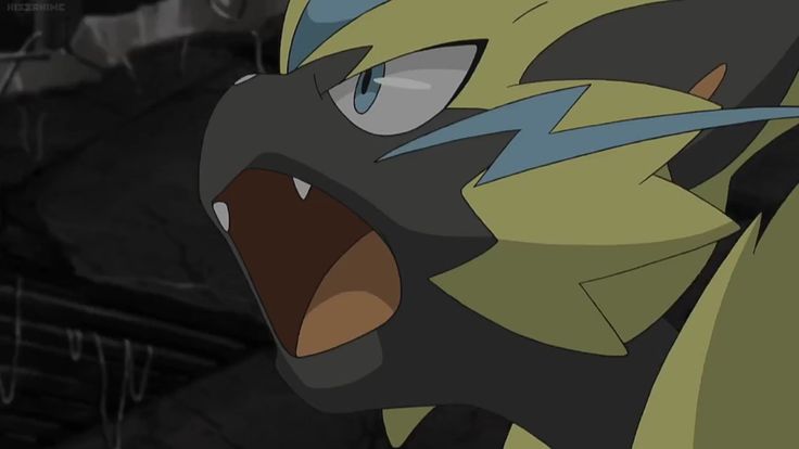 Daily Zeraora tweet media