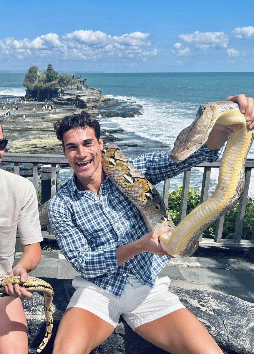 Tommi Pedruzzi tweet media