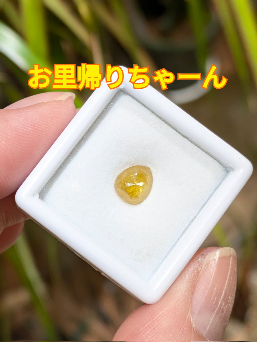 ダイヤモンド屋でーす

#ちょっとジェム散歩 in浅草橋
最終日
今日のぉ〜お里帰りちゃーん😊
撮影ご協力ありがとうございまーす
お里帰りは〜？の問いに、持ってきてまーす🎶と見せて下さる
ジュエリーって、宝石って
みんなを、可愛くしちゃう魔法🪄なんだよね〜って思っちゃうんです