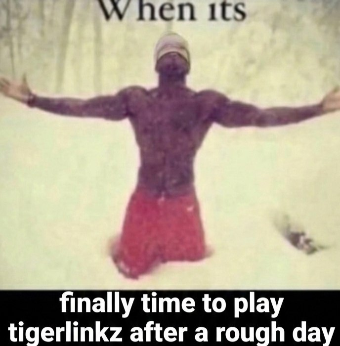 TigerLinkz's tweet photo. Finally get to rage during pvp battles and get paid for https://t.co/LeERPegFAH
