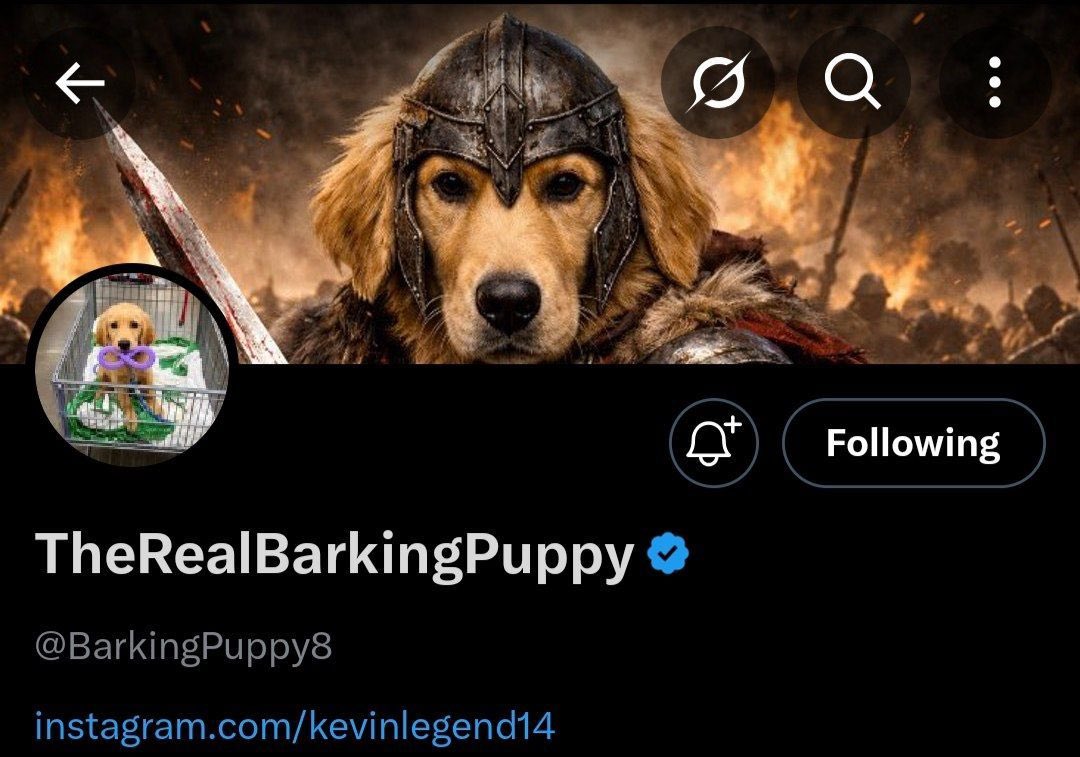 <a href="/Waterman_crypto/">Crypto Waterman</a> This is what <a href="/TheRoaringKitty/">Roaring Kitty</a> posted a day after $BUDDY was launched 

Also 

Buddy was deployed May 14 2024

Roaring Kitty posted a troy video May 14 2024. Same day!!!!!!

Barking Puppy has Troy in his x banner

Guess what......... troy released May 14

You are welcome