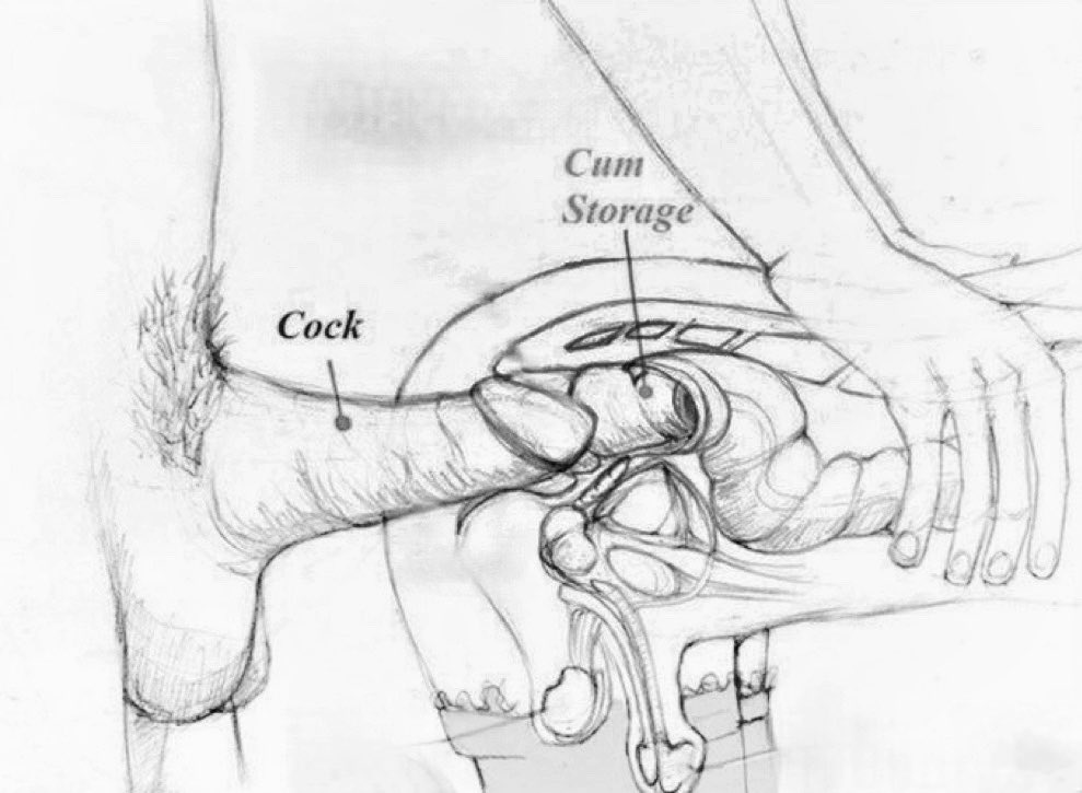 CUMFESSIONS (55K) tweet media
