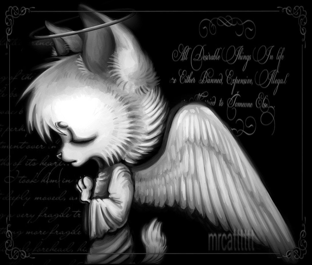 mrcatttttt_0's tweet photo. #furryart #art #ocart #catangel #furry https://t.co/5tGcb8dloC