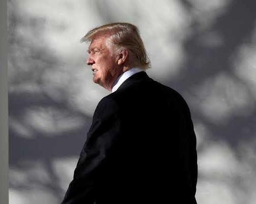 Adi el Grande tweet media