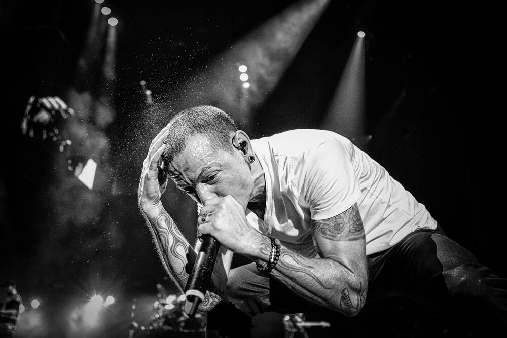 ChesterB Pics tweet media