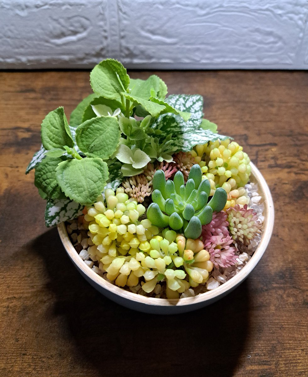 hukomignon's tweet photo. #多肉植物 と #ハーブ の
#寄せ植え https://t.co/pisMnsLEfC