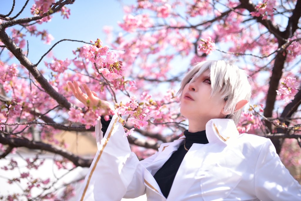 ぐみコスプレ垢 tweet media