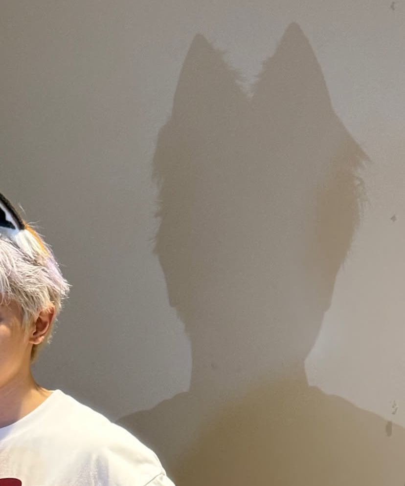 ใครมันจะไปรุ้ล่ะวะว่าแมวจรที่อุ้มกลับบ้านเมื่อวานจะกลายร่างเป้นคน