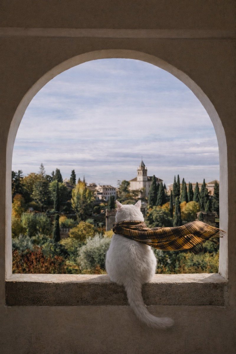 away from keyboard tweet media