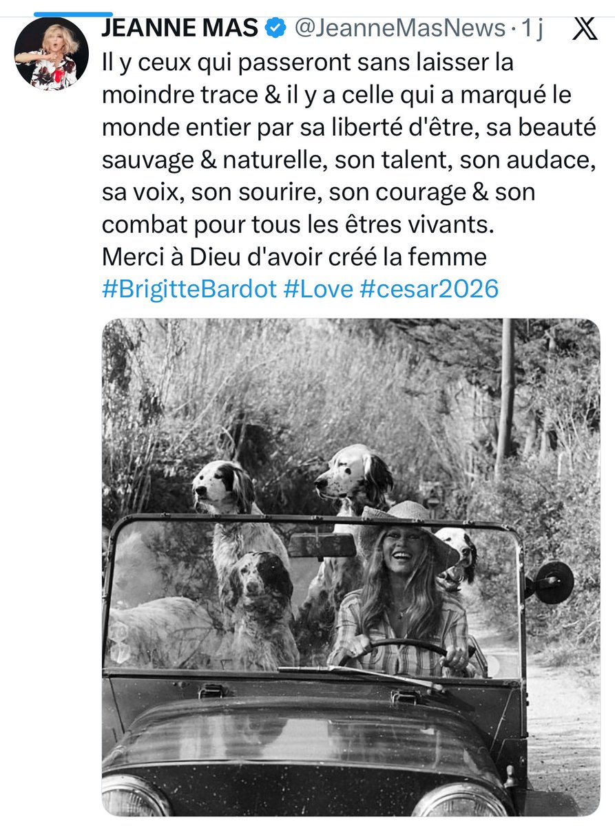 Sylvie Rodrigues (@sylvirodrigues) on Twitter photo 