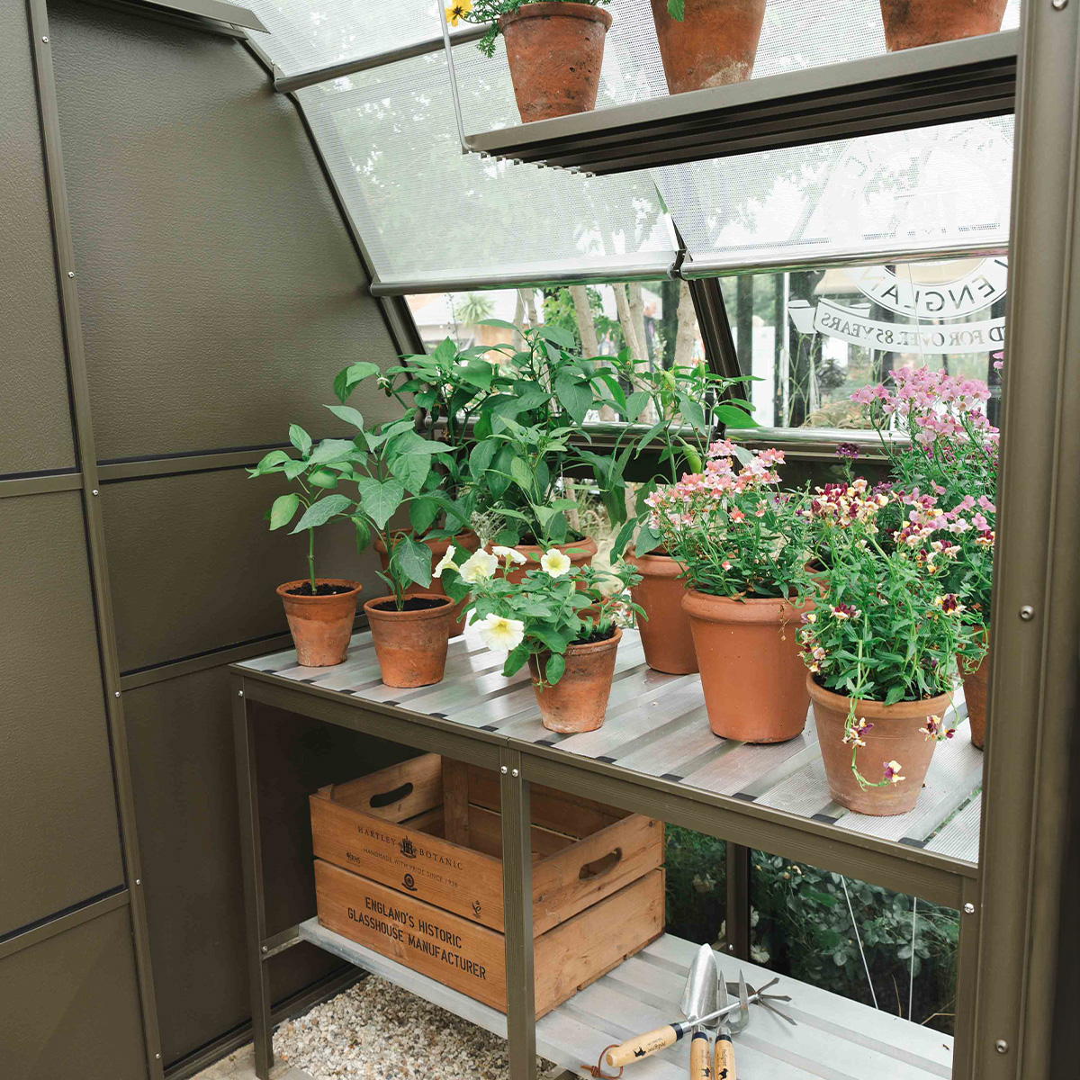 Hartley Botanic tweet media