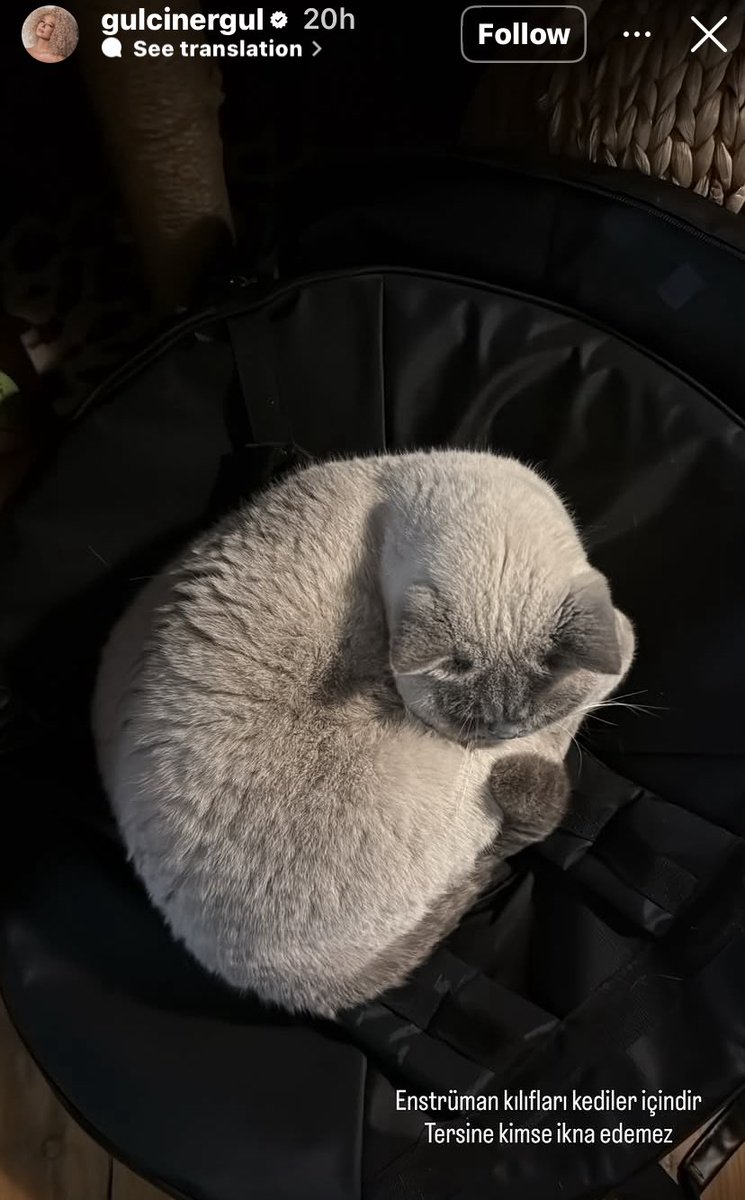 Pop Tabanı tweet media