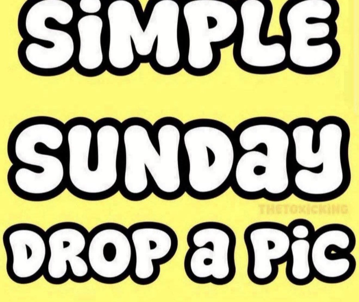 TheToxicKing tweet media