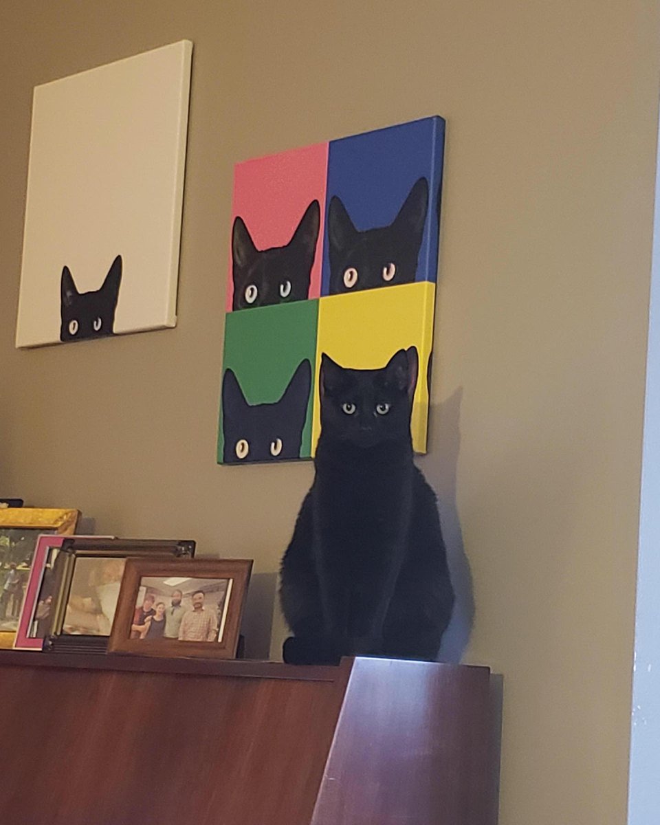 PunchingCat's tweet photo. https://t.co/a1S8CDpvMl