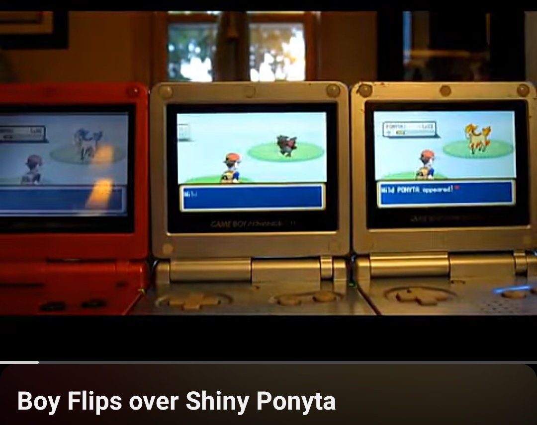 Matt (Absol) tweet media