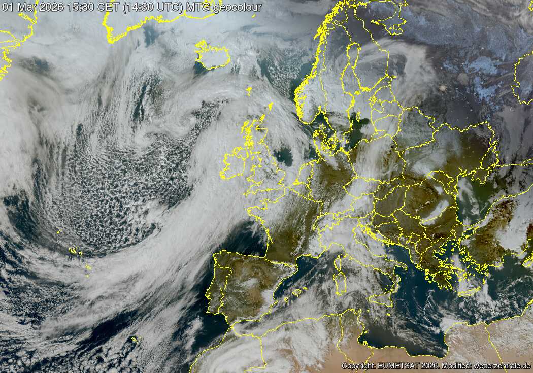 Marco M.M. tweet media