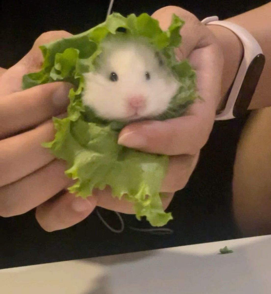 ʚ🧌ɞ りほくろ tweet media