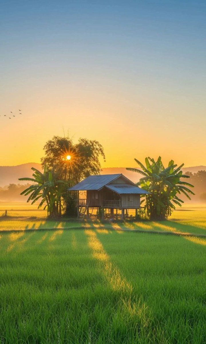 kaplanLS tweet media