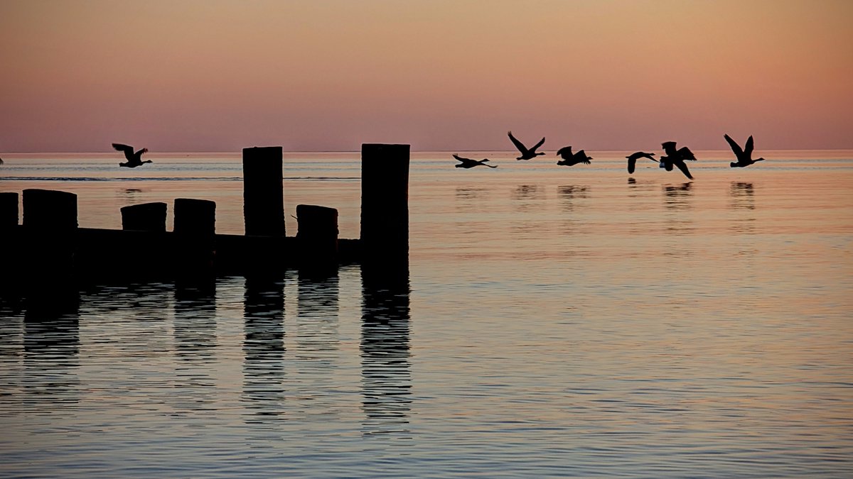 KAARTIFACTS tweet media