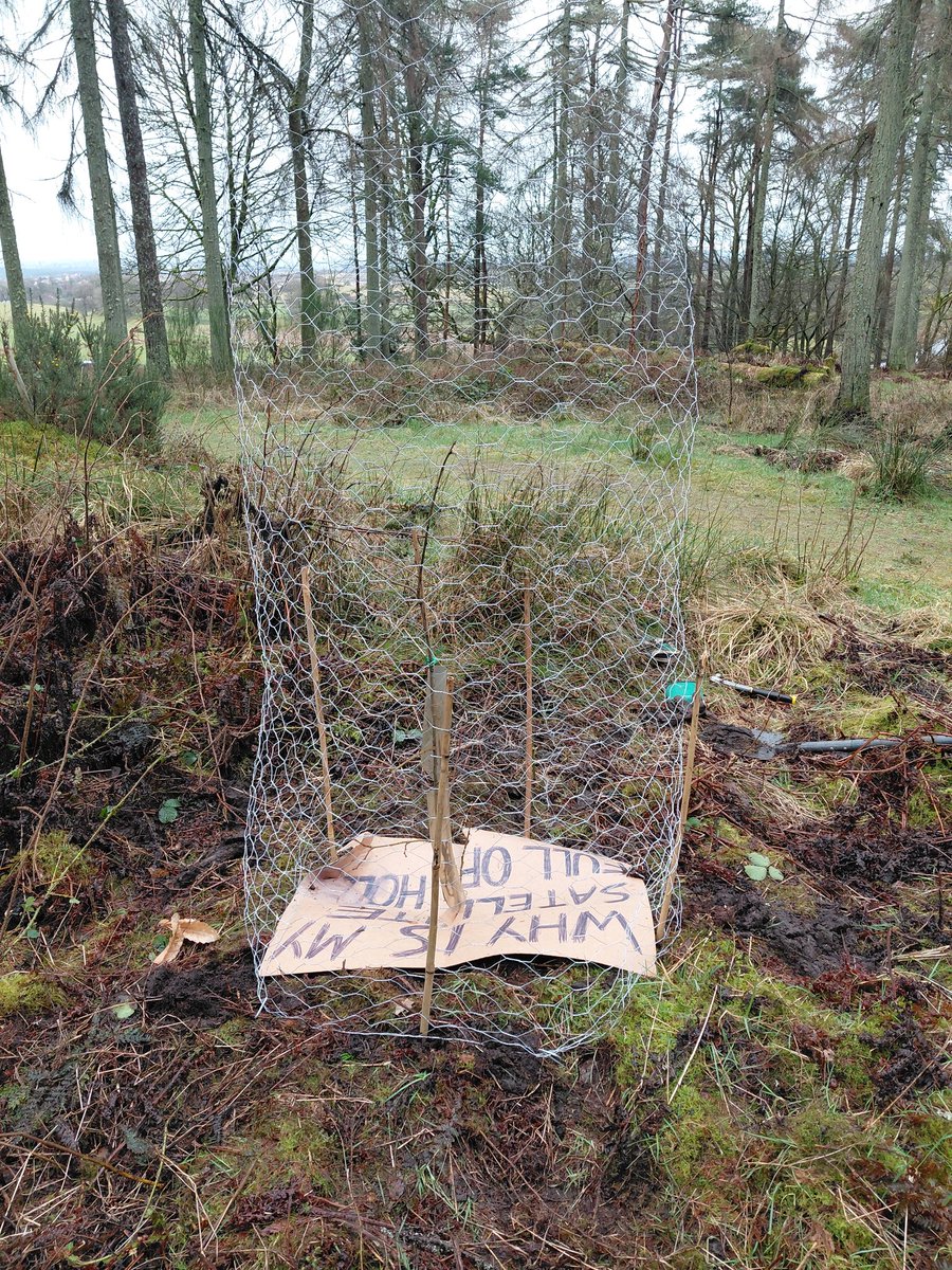 GlanderstonWood tweet media