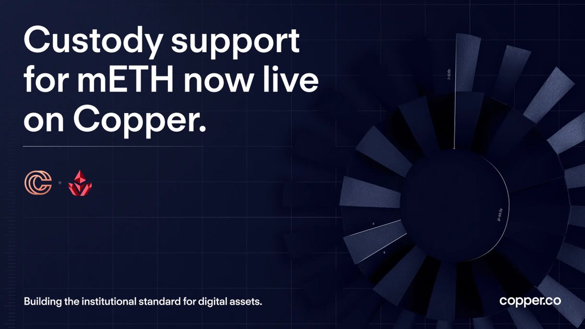 YOUNG_E ✺ tweet media