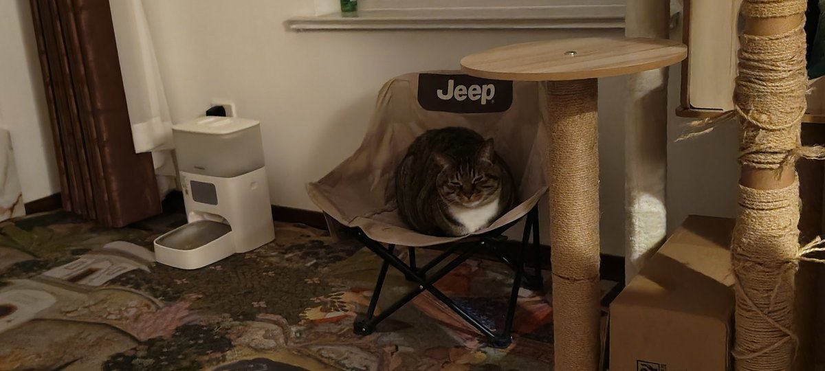 𝙴𝚟𝚎𝚒 (@evei_416) on Twitter photo 