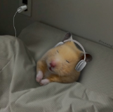 Marc 'Reaxys' Seidl 🇦🇹 tweet media