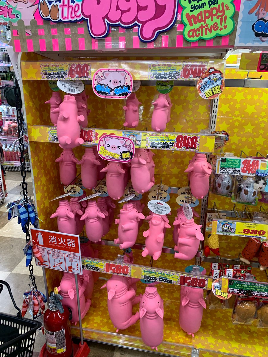 LullaSnork's tweet photo. 🐽 https://t.co/rCrMqyADvv