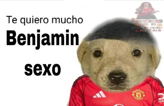 Daniel Vaca-Pereira (@dvacapereira) on Twitter photo 