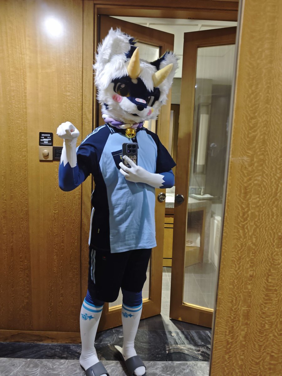 RennautFox's tweet photo. 发点兽太（胖胖😭） https://t.co/ky6iBCrK1m