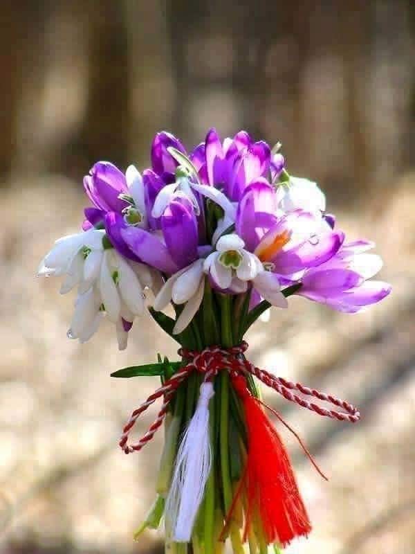 RoussevaS's tweet photo. Spring is around the corner... https://t.co/EwVzuSfQaW