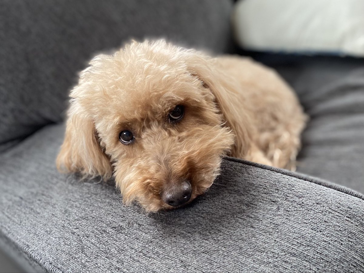 Jason Holle tweet media