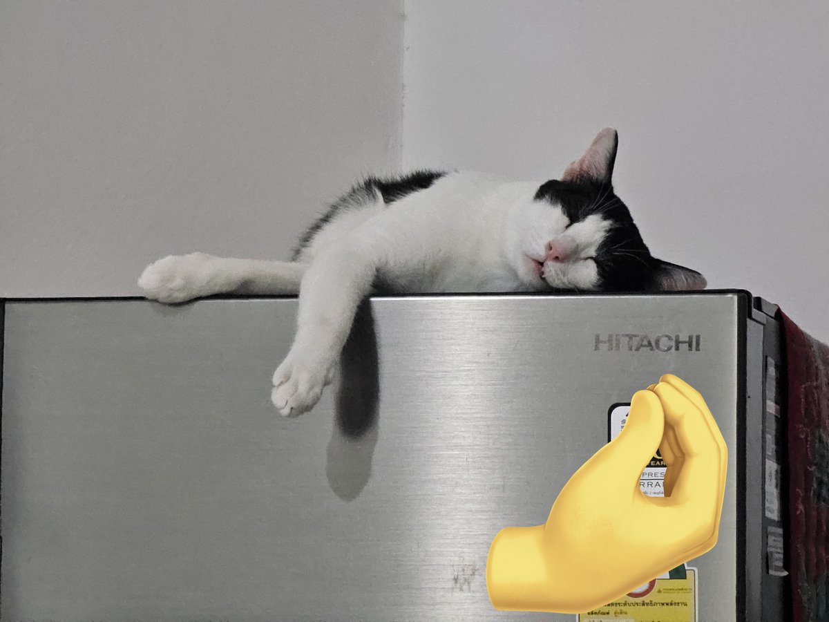 อยากกลับบ้านไปหยอกแมวแร้ว เพิ่งห่างมันไม่ถึงวันเนี่ย 😔