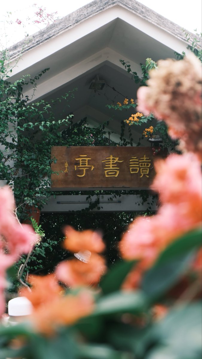 Flowersheepp's tweet photo. 🌴🥥The bougainvillaea in Wanning Xibian Village is really beautiful! Every color is heartwarming, as if you have entered a fairy tale world. If you also love nature, you must come here to feel the tranquility and beauty!🌸🌺

#Wanning #Hainan #TravelChina #NatureLovers https://t.co/4NLquEb0bR