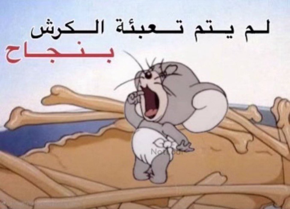 احصائيات فطور اليوم
ثلاث تمرات
كاسة لبن
....💔