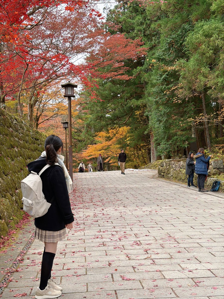 구름이💭 雲 (くも) tweet media