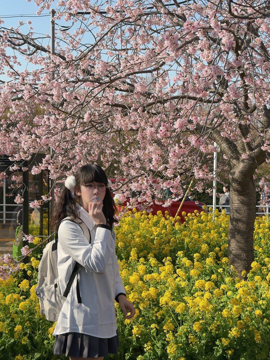 구름이💭 雲 (くも) tweet media