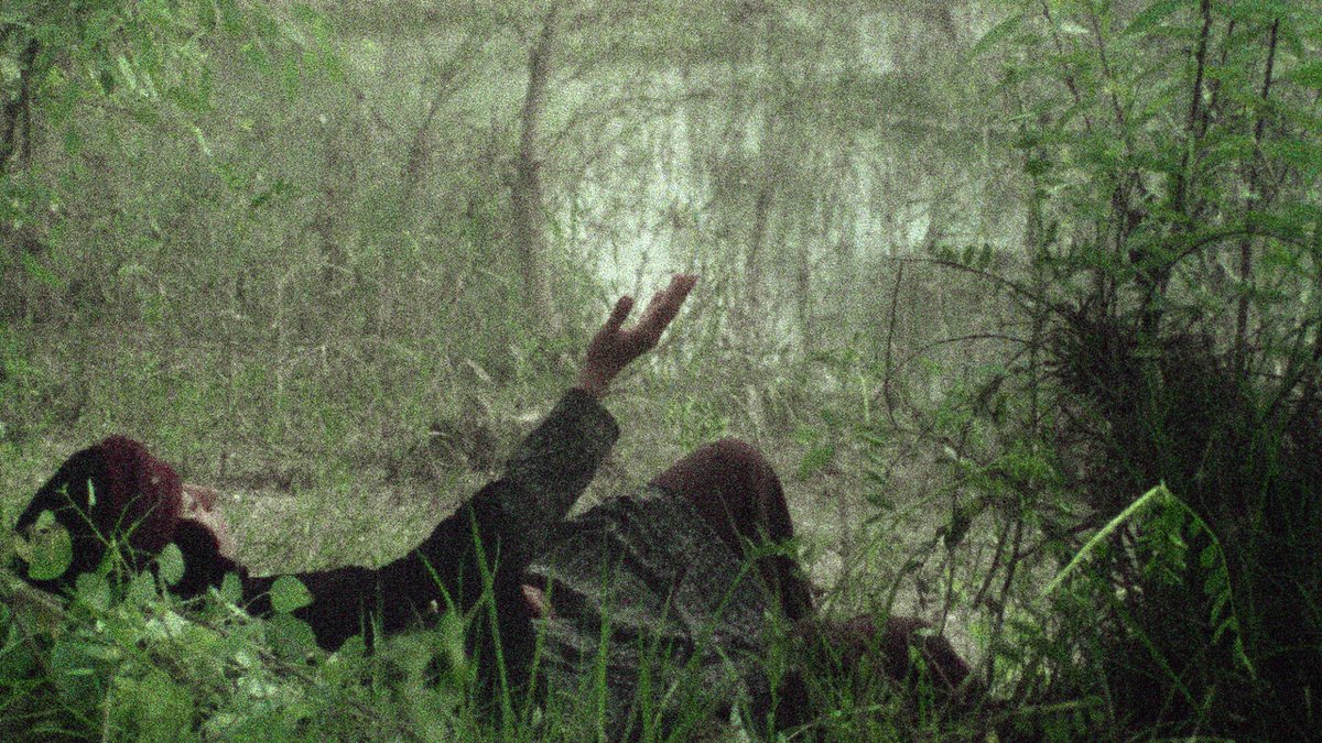 Bovril Lavigne tweet media