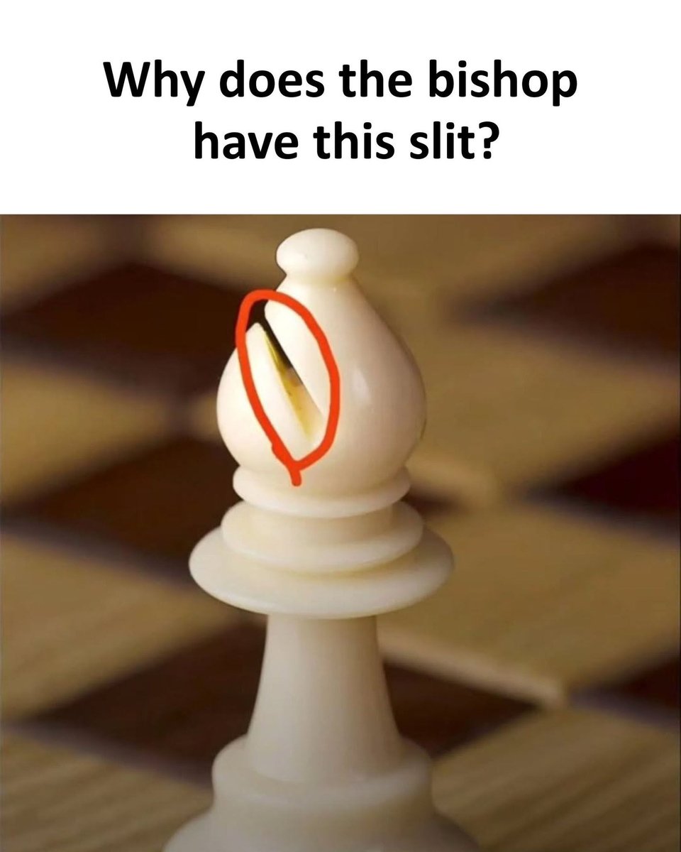 OMGFacts tweet media