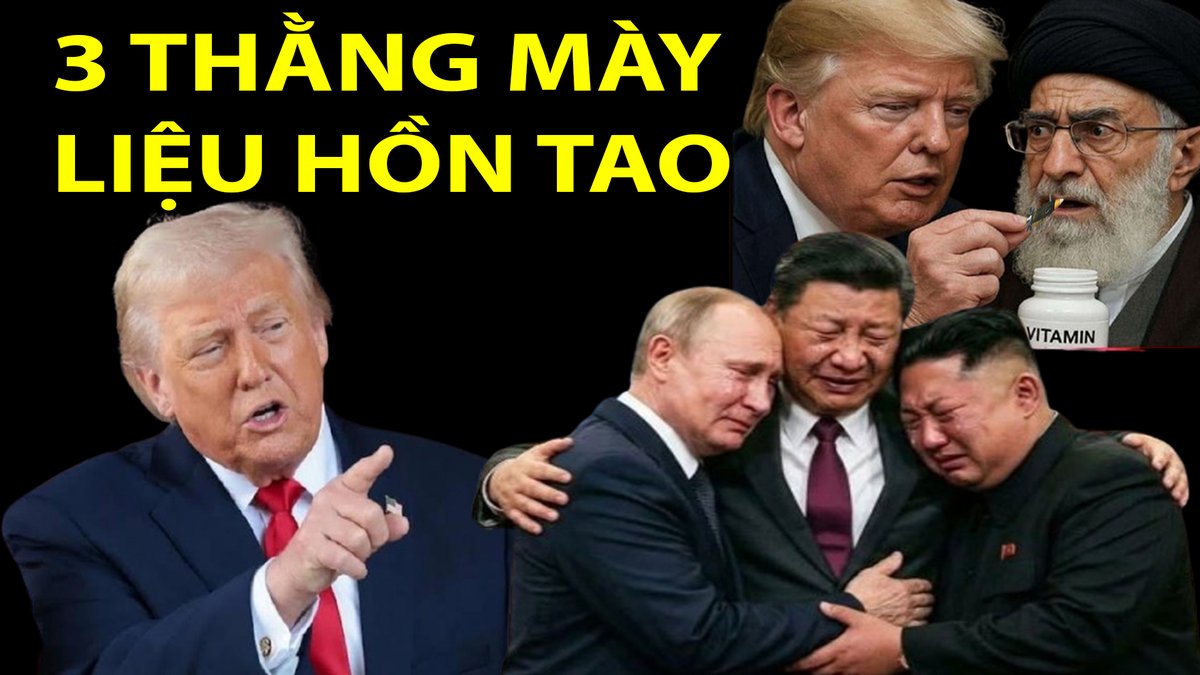 Trần Đình Vũ tweet media