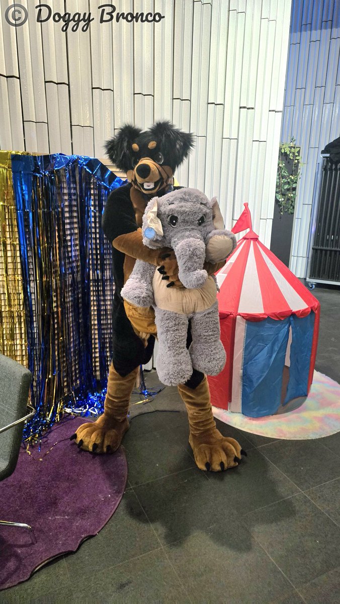 Doggy_Bronco's tweet photo. But he has a long...... . 😂😂😂
The elephant trunk. Laugh, what did you think? 
#NFC2026 https://t.co/4AQjFayOfU
